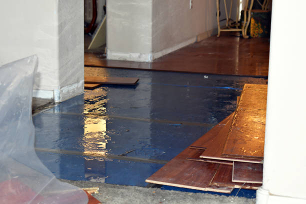 Professional Basement Flood Cleanup technician working in Continental, OH